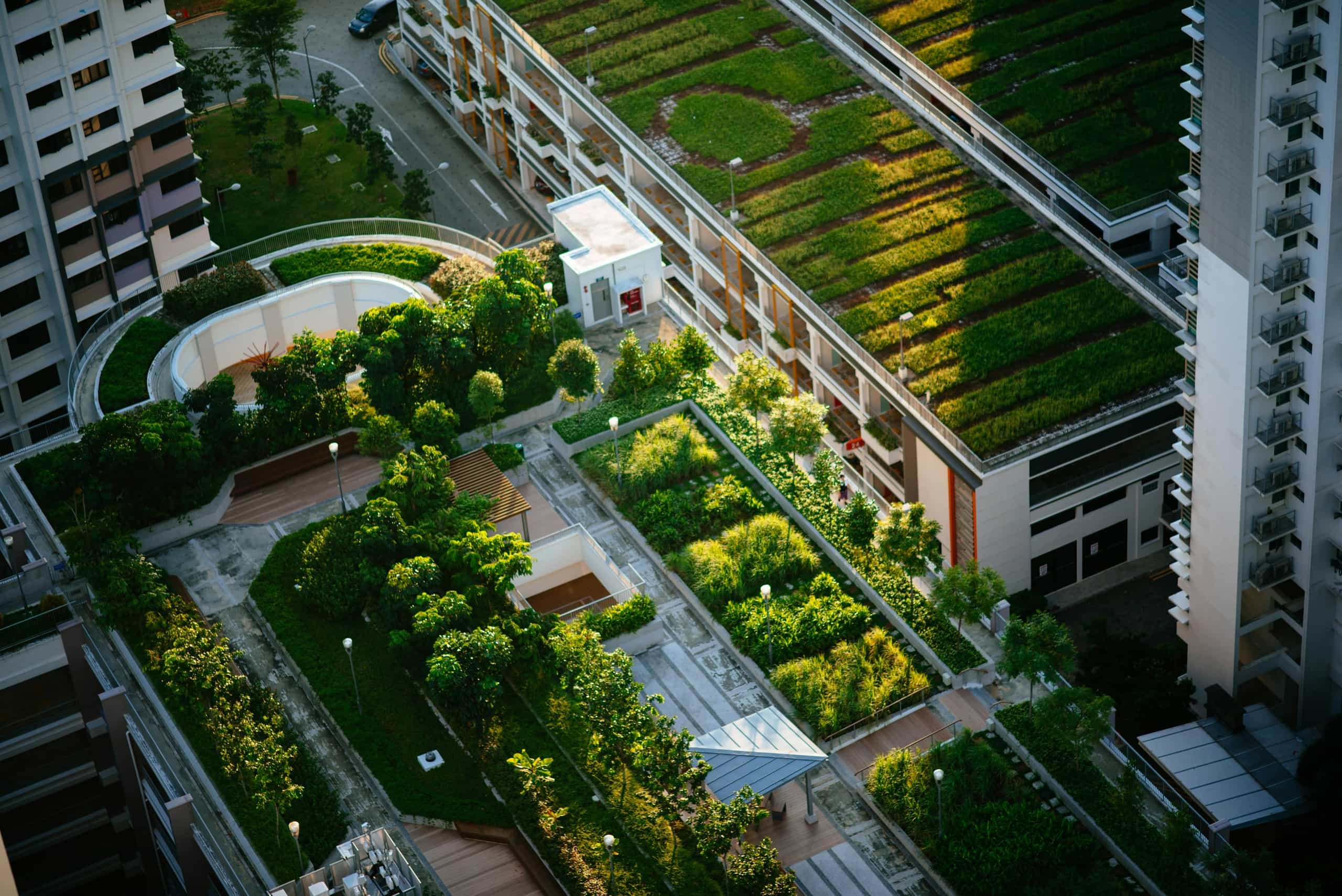 Green Roof background image